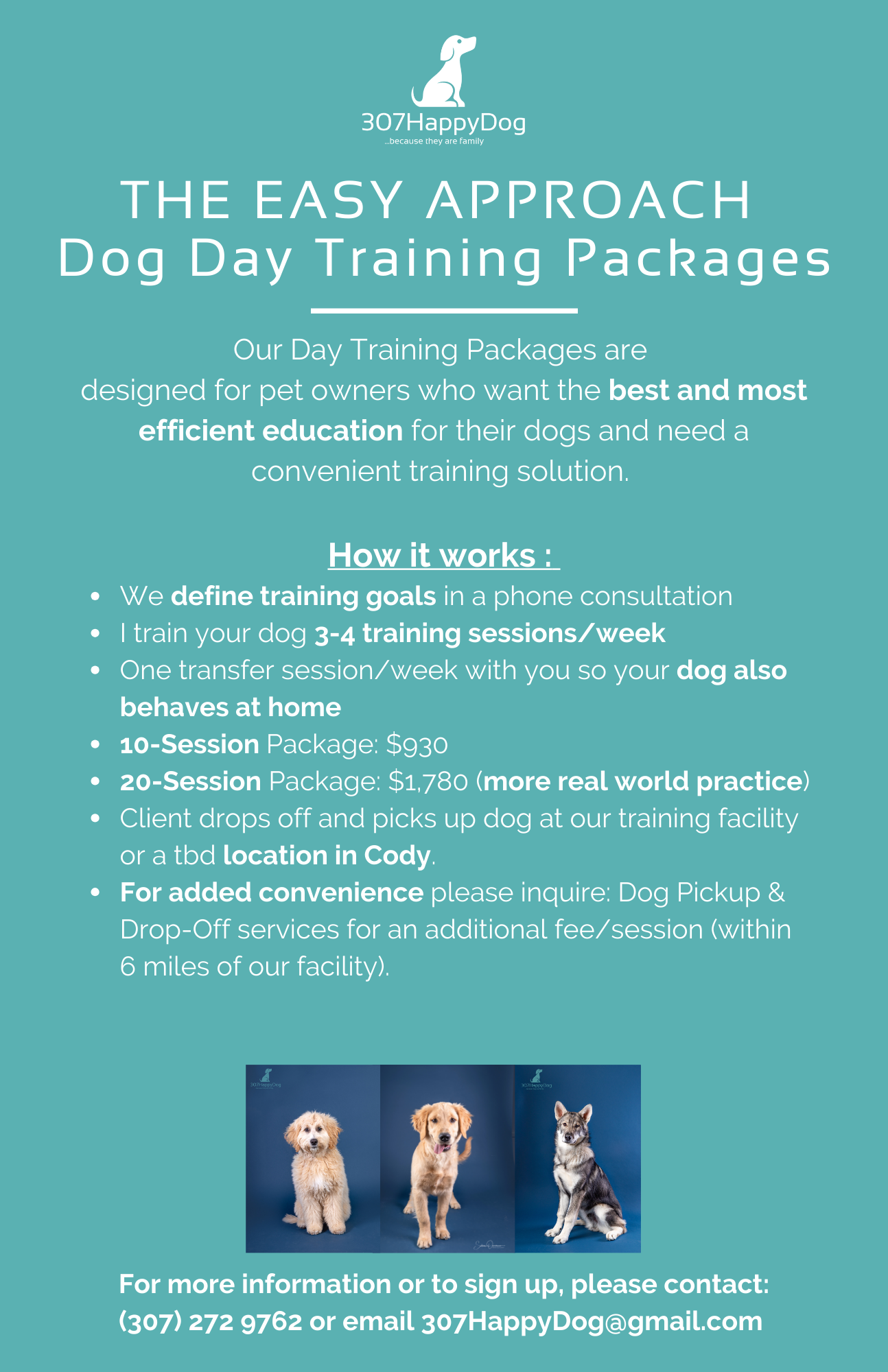 Dog Day Training Packages