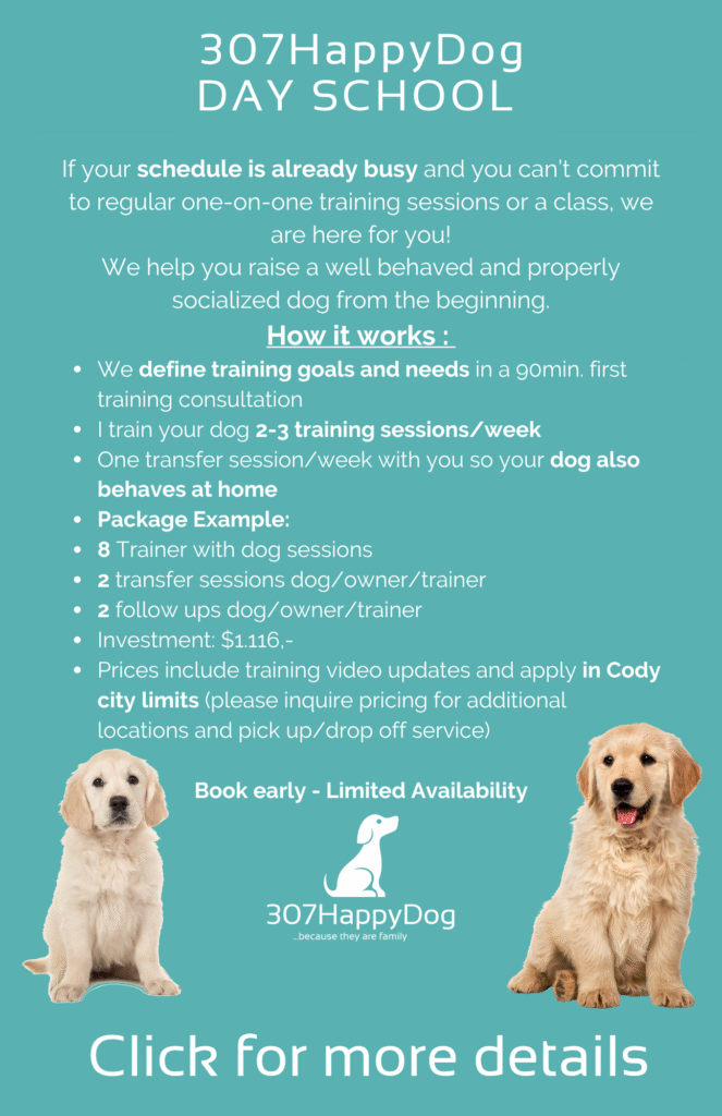 How Much Does It Cost for Dog Obedience Training: Ultimate Guide