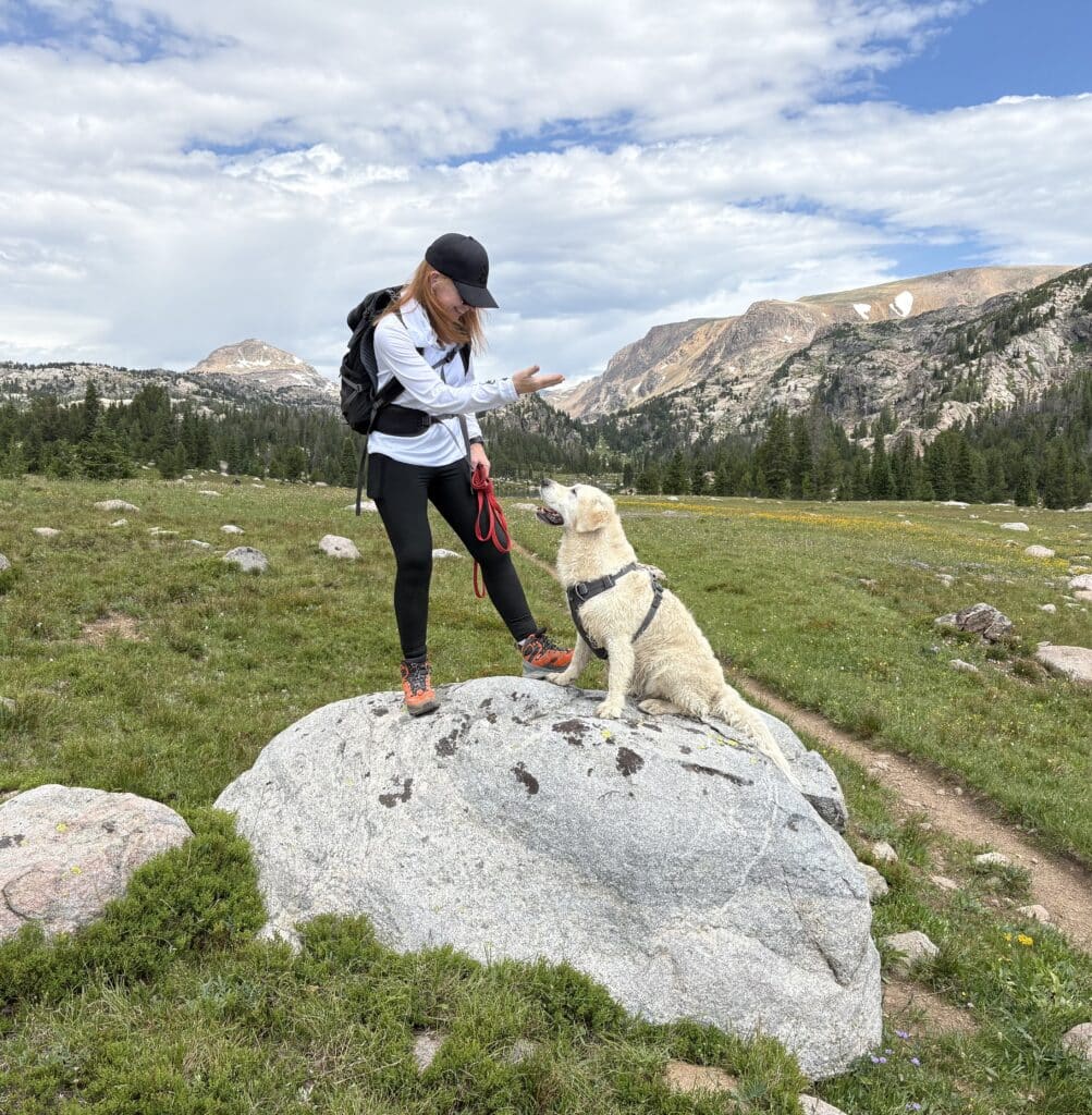 Sabine Born, Dog Trainer